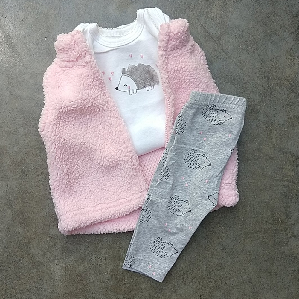Carter's Baby Girl Hedgehog Outfit!
